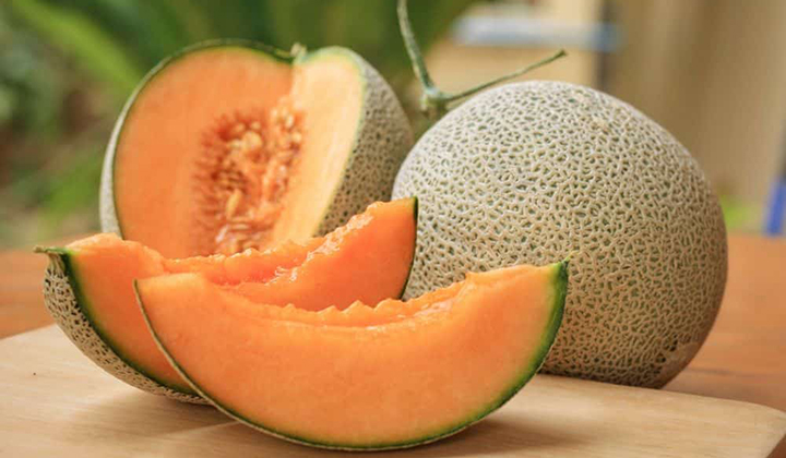 مواد مغذی طالبی مواد مغذی طالبی