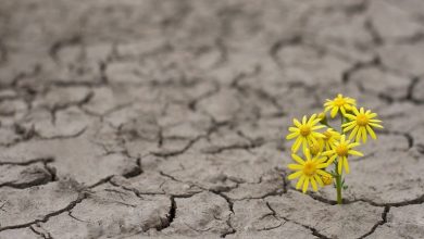 40 جمله امیدبخش برای بدست آوردن انگیزه و انرژی مثبت