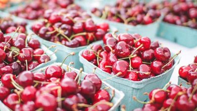 دنیای شگفت‌انگیز با هسته آلبالو: فراتر از دور ریختن!