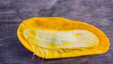 فواید هسته انبه برای پوست که باید بدانید!