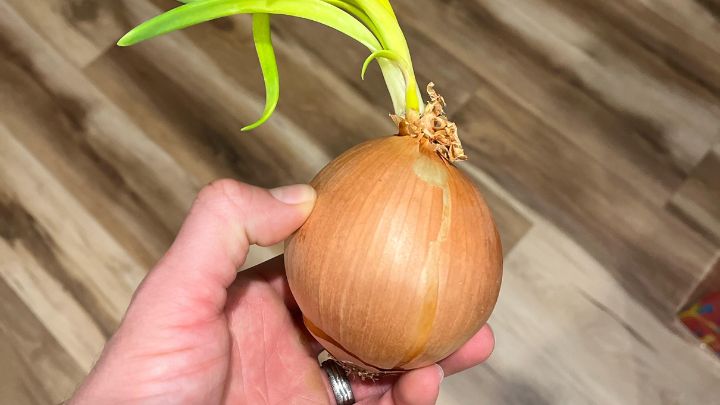 آماده سازی خاک آماده سازی خاک