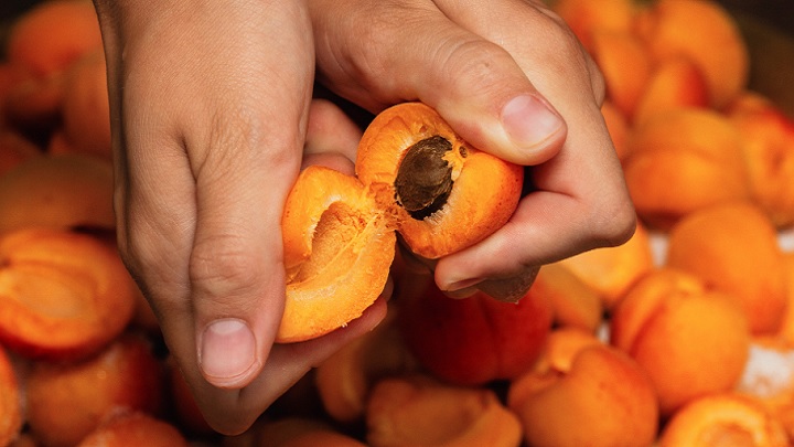 ممنوعیت مصرف زردآلو برای دیابتیها ممنوعیت مصرف زردآلو برای دیابتیها