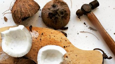 روش‌های سریع‌ پوست کندن نارگیل که اگه ندونی ضرر کردی!
