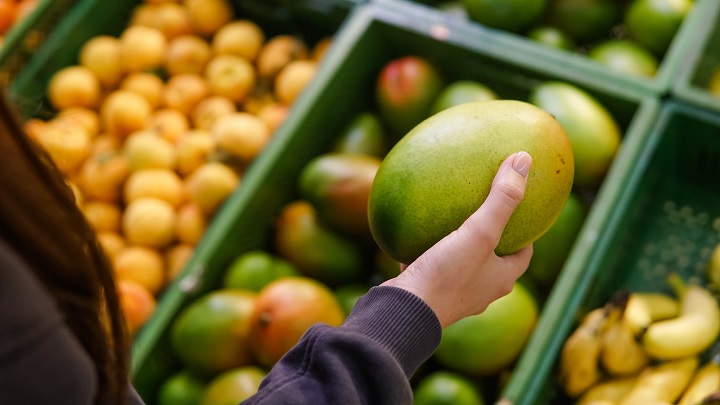 به بافت میوه دقت کنید در انبه رسیده