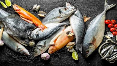 روش تشخیص ماهی قزل آلای سالم از فاسد