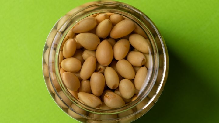 نگهداری غوره در یخچال نگهداری غوره در یخچال