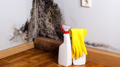 6 ترفند ساده و پرکاربرد تمیز کردن کپک دیوار