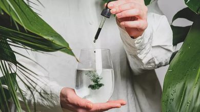 هر آنچه که در مورد کلروفیل باید بدانید!