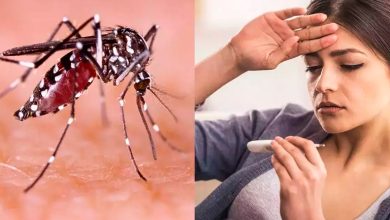 هر آنچه که از تب دنگی باید بدانید!