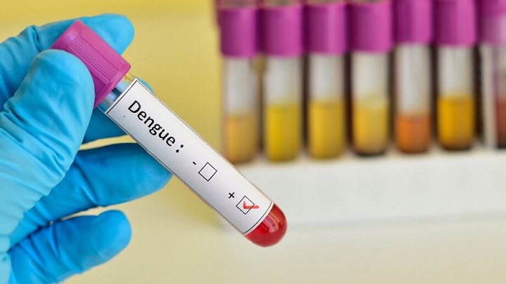 درمان تب دنگی درمان تب دنگی