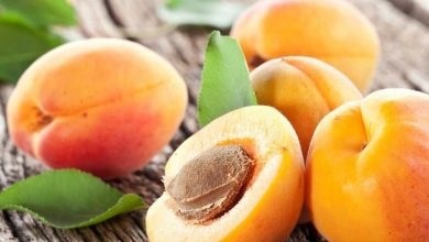 خواص و مضرات مصرف زردآلو در بارداری