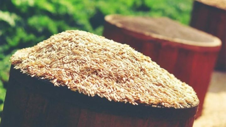 از خواص سبوس برنج قهوهای، کمک به درمان یبوست از خواص سبوس برنج قهوهای، کمک به درمان یبوست