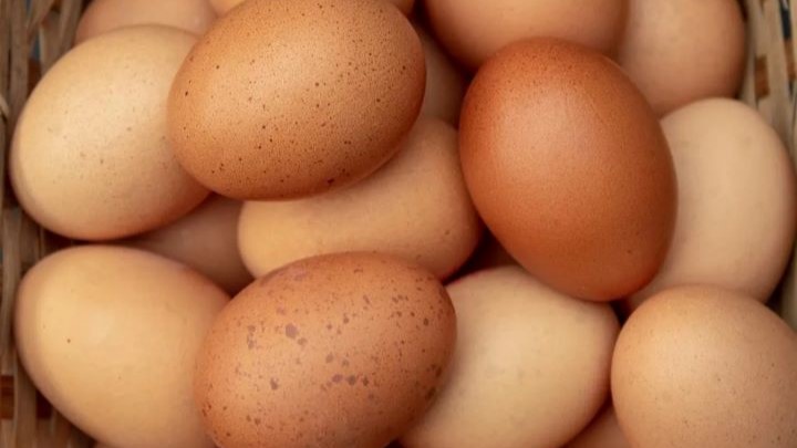 کولین چیست؟ کولین چیست؟