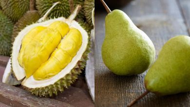 شاه میوه طبیعت را بهتر بشناسید