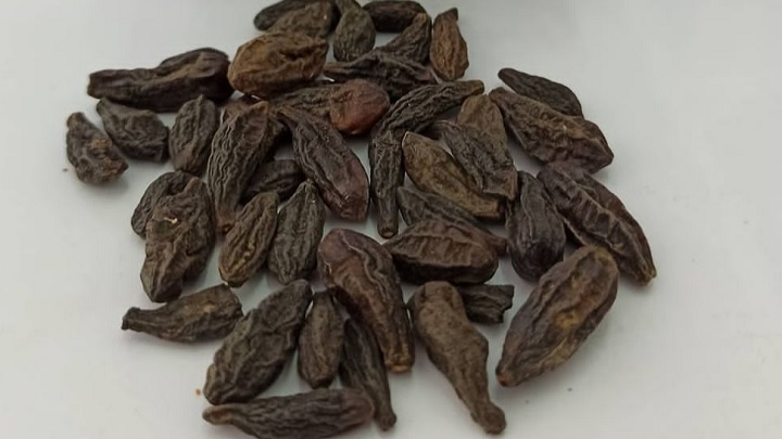 درمان زخم معده با هلیله سیاه درمان زخم معده با هلیله سیاه