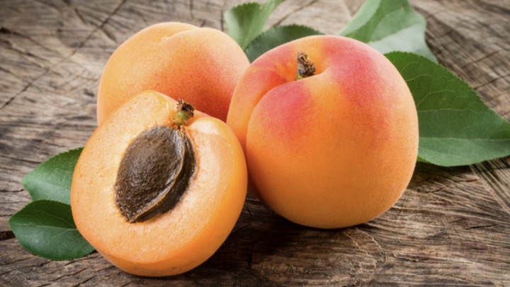 نکات و فوت و فنهای طرز تهیه شیره زردآلو نکات و فوت و فنهای طرز تهیه شیره زردآلو