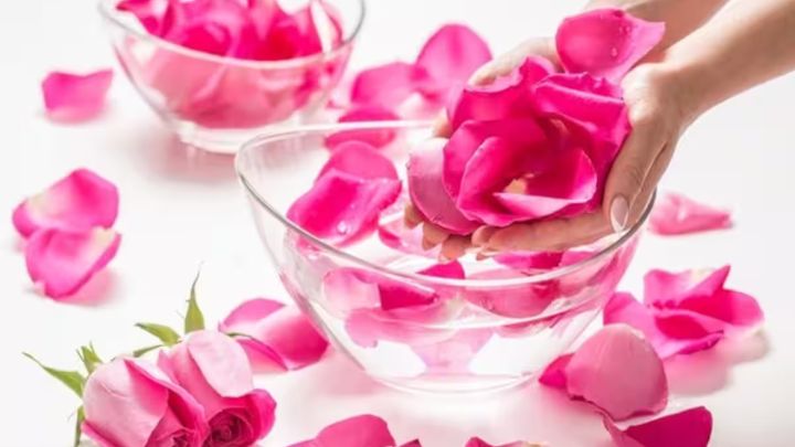 گلاب آرامش بخش و ضد استرس برای گرمای تابستان