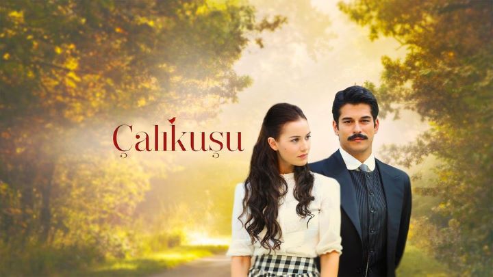 سریال چکاوک (Çalikusu)