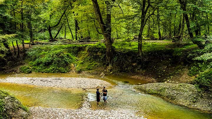 رودخانه پلنگ دره از جاذبههای طبیعی اطراف تهران رودخانه پلنگ دره از جاذبههای طبیعی اطراف تهران