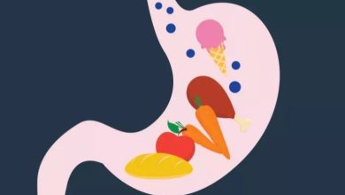 14 راهکار راحت و مؤثر برای هضم سریعتر غذا بعد از پرخوری