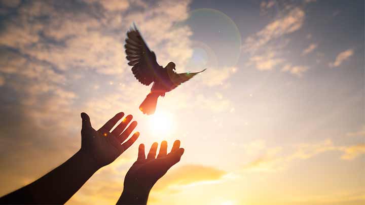 روش‌های غلبه بر کمال گرایی