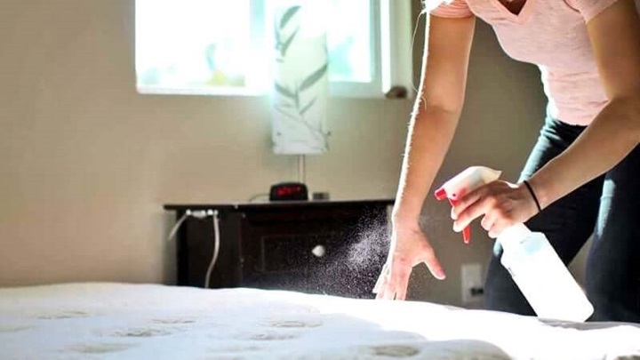 استفاده از بخارشو برای از بین بردن حشره ساس استفاده از بخارشو برای از بین بردن حشره ساس