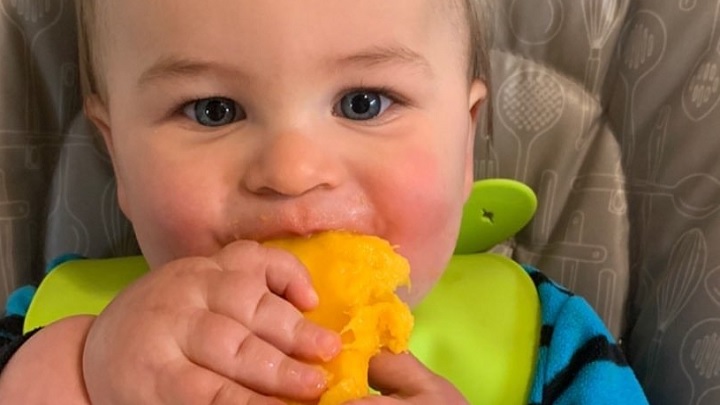 از چند ماهگی به نوزاد انبه بدهیم؟