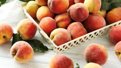 چگونه هلو را برای مدت طولانی تازه نگه داریم؟