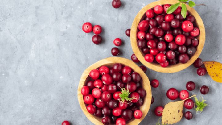 مراحل تهیه روغن هسته آلبالو به روش سرد پرس