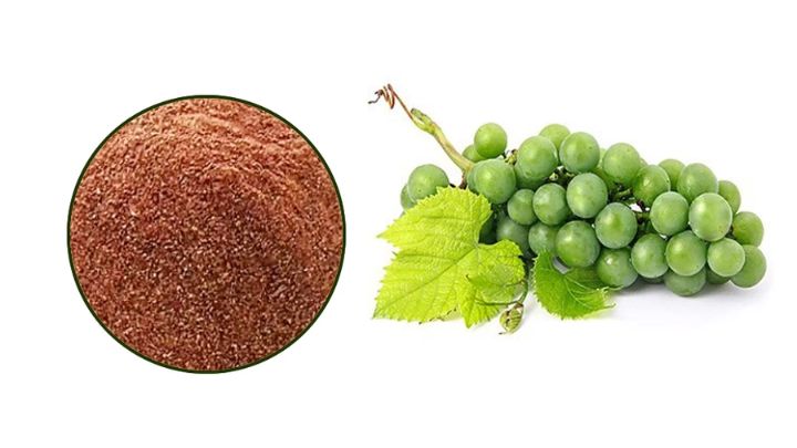 با خشک کردن غوره یک چاشنی خوشمزه برای غذاهایتان درست کنید