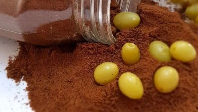 طرز تهیه گرده غوره خانگی؛ خوش‌طعم و پرکاربرد