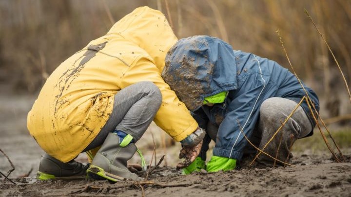تاثیر خاکبازی بر سیستم ایمنی کودکان تاثیر خاکبازی بر سیستم ایمنی کودکان