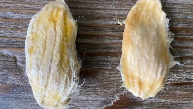 خواص هسته انبه برای آقایان که شما را شگفت زده می‌کند!