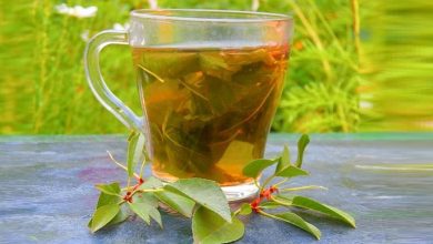 خواص برگ گیلاس و موارد استفاده آن که نمی‌دانید