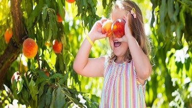 خواص هلو برای کودکان که شاید ندانید!