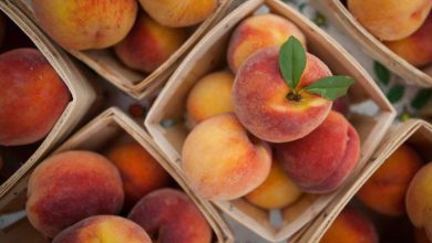 با خواص هلو برای سرماخوردگی آشنا شوید