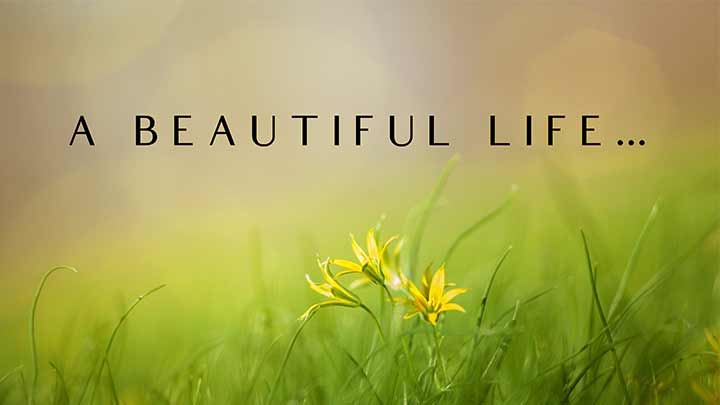 راهکارهای داشتن یک زندگی زیبا