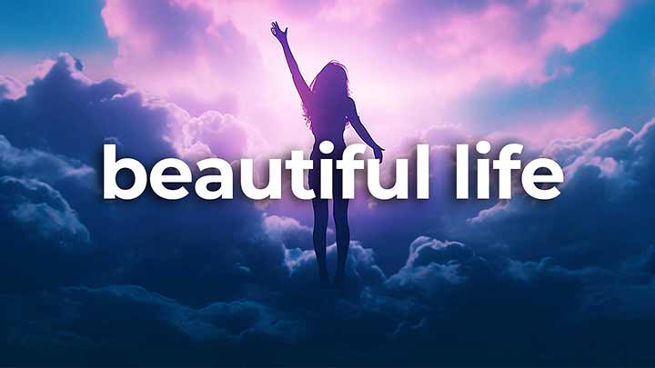 یک زندگی ایده‌آل