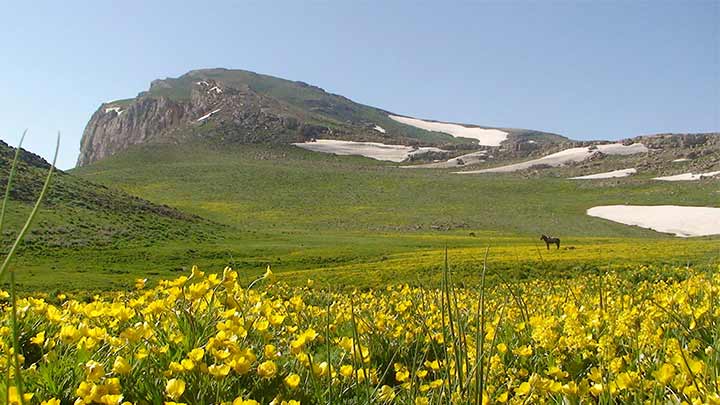 لپاسر؛ از خفنترین ییلاقات شمال ایران لپاسر؛ از خفنترین ییلاقات شمال ایران
