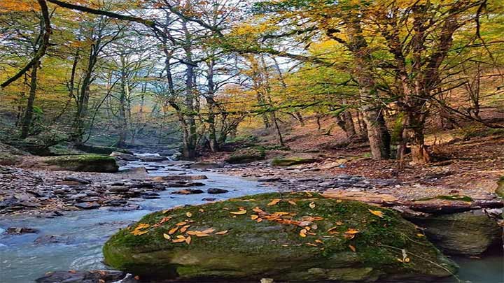 ییلاق دالخانی ییلاق دالخانی