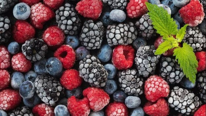 نگهداری شاتوت برای طولانی مدت در فریزر