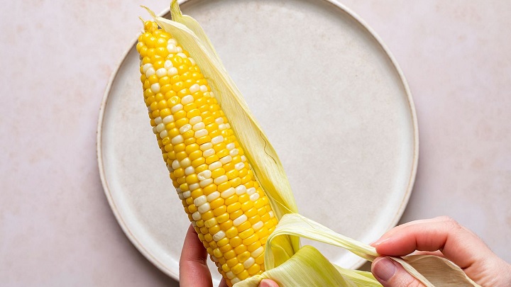 روش دانه کردن ذرت با دست