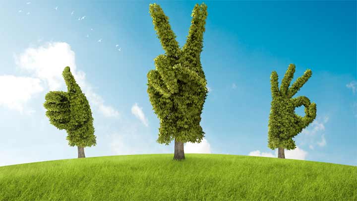 زندگی بهتر با قبول مسئولیت انتخاب‌