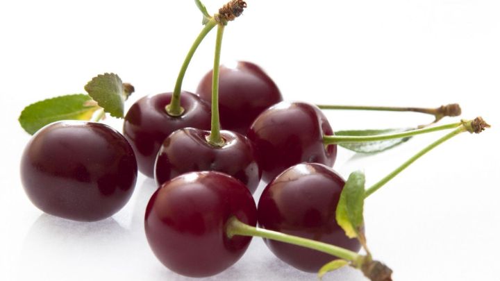 روش‌های علمی تشخیص گیلاس کرم‌دار