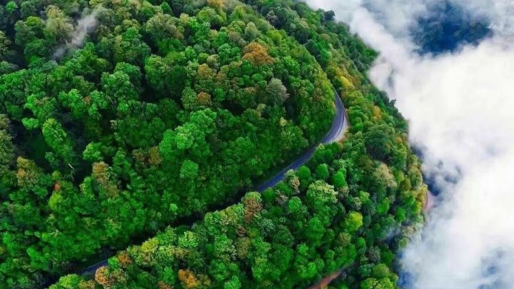 اسالم (گیلان) اسالم (گیلان)