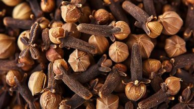 خواص شگفت‌انگیز میخک برای لاغری و افزایش متابولیسم