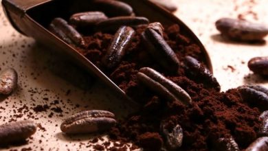 فواید و مضرات قهوه هسته خرما: همه چیز را بدانید + طرز تهیه