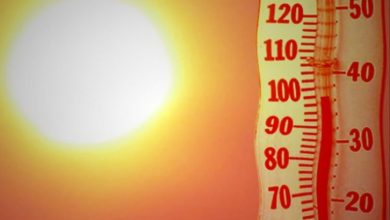 تاثیرات مخرب دماهای بالا بر سیستم ایمنی و سلامت قلب