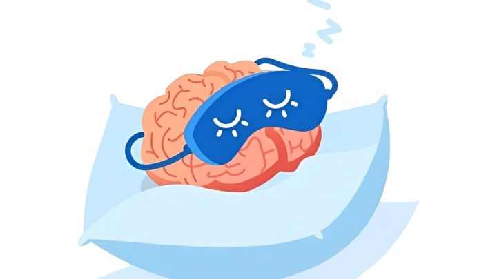 تقویت حافظه با خواب مناسب و کافی