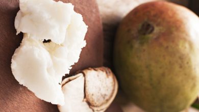 بهترین روش تهیه روغن هسته انبه را اینجا بخوانید!
